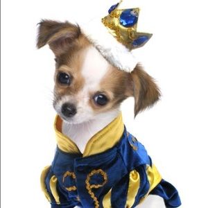 Prince Charming Puppe Love Halloween Dog Costume